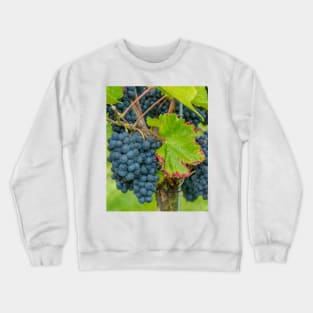 Vineyard, Kaiserstuhl, South-West Germany Crewneck Sweatshirt